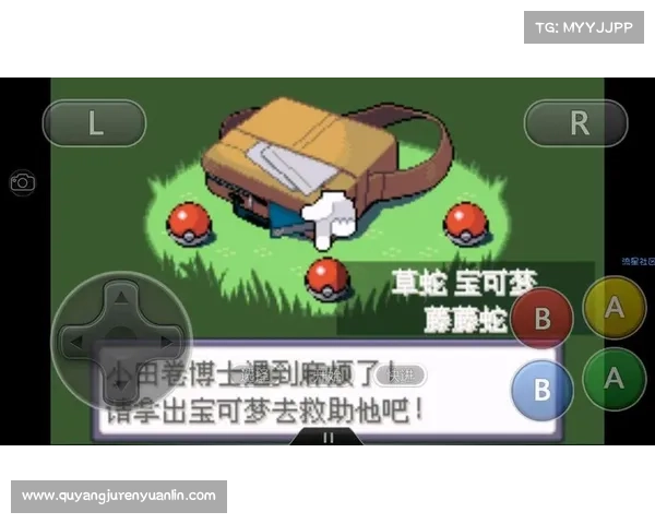 破解口袋妖怪黑白金手指的最佳技巧及实用操作指南分享 破解口袋妖怪黑白金手指的最佳技巧及实用操作指南分享