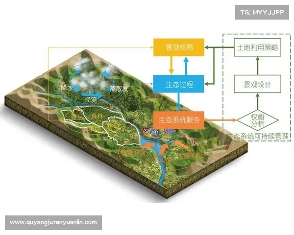 高原地区社会服务新模式实施步骤及其优化路径探索 高原地区社会服务新模式实施步骤及其优化路径探索