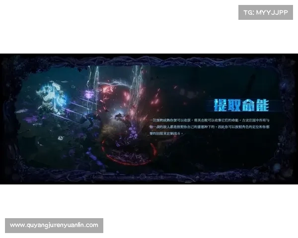 揭开以吓人先祖兑换表背后的神秘传说与失落力量真相