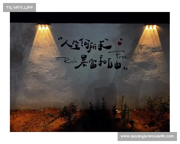 从朝九晚五到随心而行探索实现逃离办公室的自由人生之路