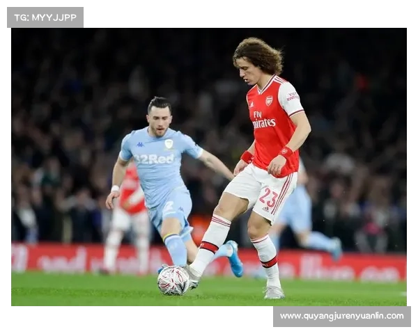 大卫路易斯在不同战术体系中的位置与发挥分析